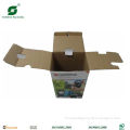 SAFETY PACKAGING CORRUGATED BOX